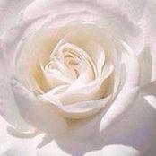 Andrea Cárdenas's photo