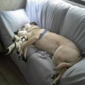 Sandy Kirchner's photo