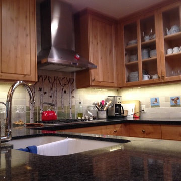 Sustainable Kitchen Remodel