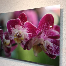 Images for product - Products