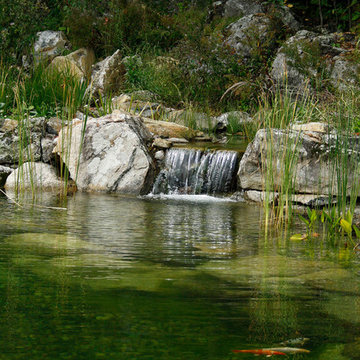Natural swim pond