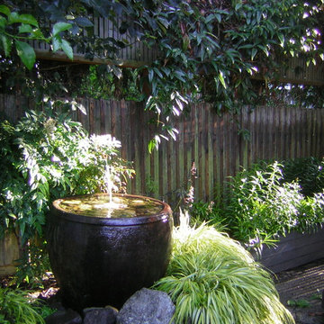 a place for birds