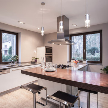 Modern Kitchen Remodels