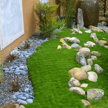 Japanese Garden