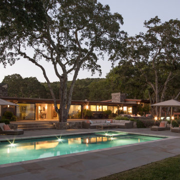 Top of the Hill Contemporary