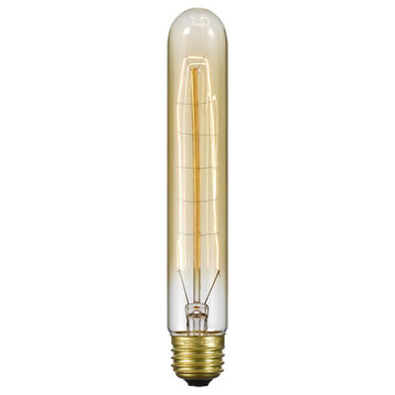 E26 120V, 60W T10 Edison Bulb