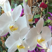 Jo@homeinWiltshire's photo