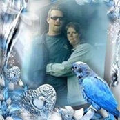 Stacey Hattendorf's photo