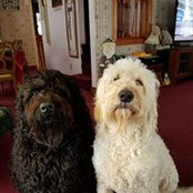 Danielle Winney's photo