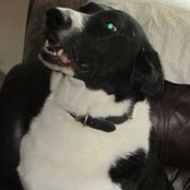 Joyce Zwick's photo