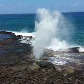 Derek Grant's photo