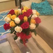 Willemina Brinkhoff's photo