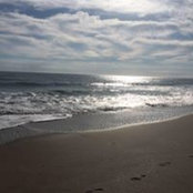 Sandra Cruz's photo