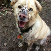 Catherine Ramsay's photo