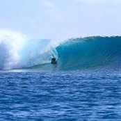 Ryan Holmess foto