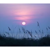 Tad Kinev's photo