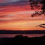 Paula Volponi's photo