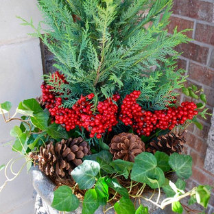 Winter Container Gardens