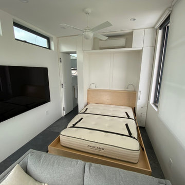Contemporary murphy bed
