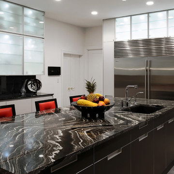 Contemporary Kitchen Remodel in McLean, VA