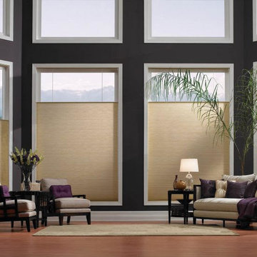 Global Blinds