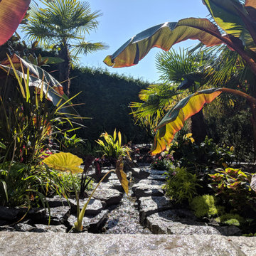 Tropical White Rock