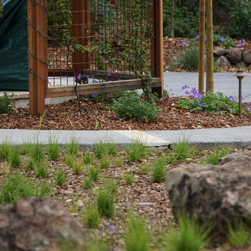Los Gatos Front Yard Lounge