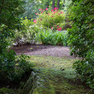 Transition from moss woodland to gravel garden