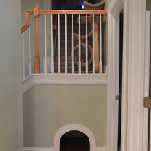Pet solutions