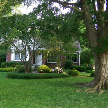 Our Work