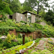 Exterior Ideas