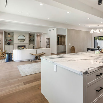 Expansive Bel Air Open-Concept Living Room Transformation