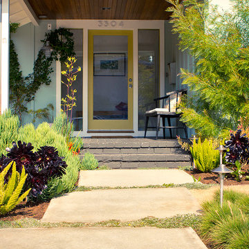 Modern entry with concrete pavers, landscape lights and low water planting