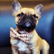 Evgeniy Kozlov's photo
