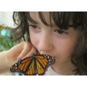 Andrea Zander's photo