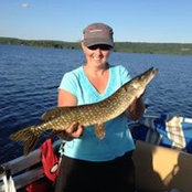 Lorraine Cormier's photo
