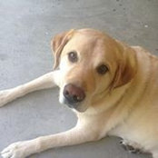 Beverly McKibben's photo