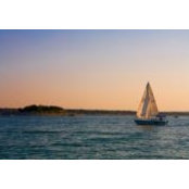 DeLys Evans's photo