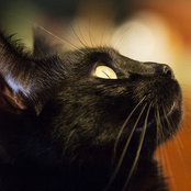 Lorene Peterson's photo