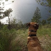 Katie Bernard's photo