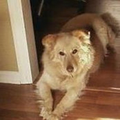 Kathy Zahn's photo