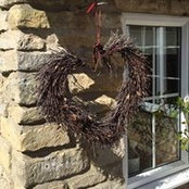 Amy Wards foto