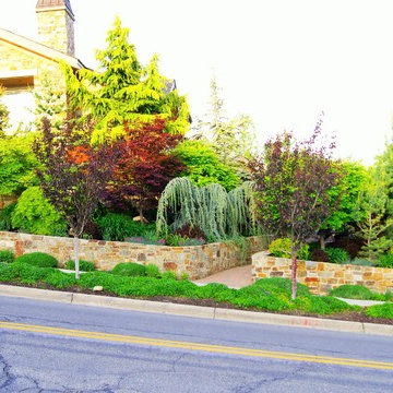 Upscale City Landscape