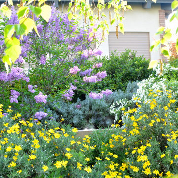 Symmetrical garden