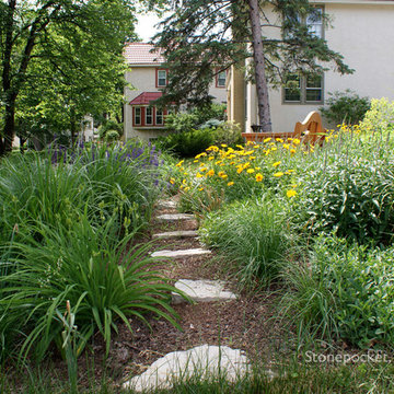 Shade to Sun - A Journey of a Perennial Garden