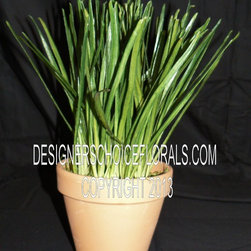 The New Greenery - Products