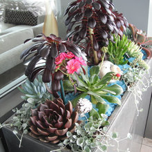 Balcony Garden