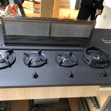Undermount hidden down draft system