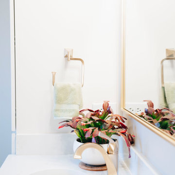 Chapin Home Remodel