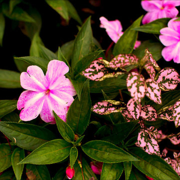Landscaping Highlights